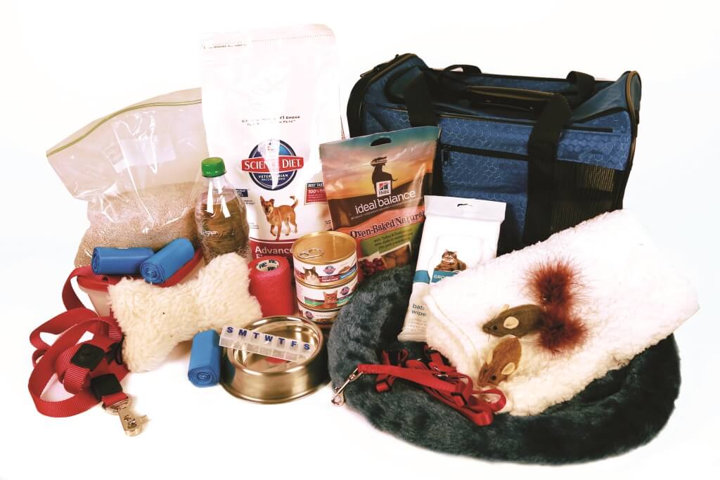 Disasters for Pets: Preparedness Should Include ALL Family Members!