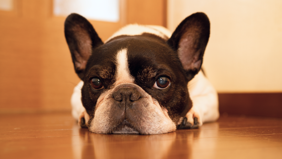 How to Handle An Upset Stomach