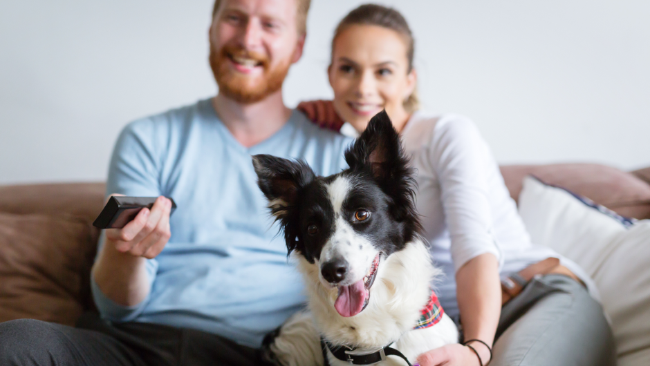 Pets are Family, Too!