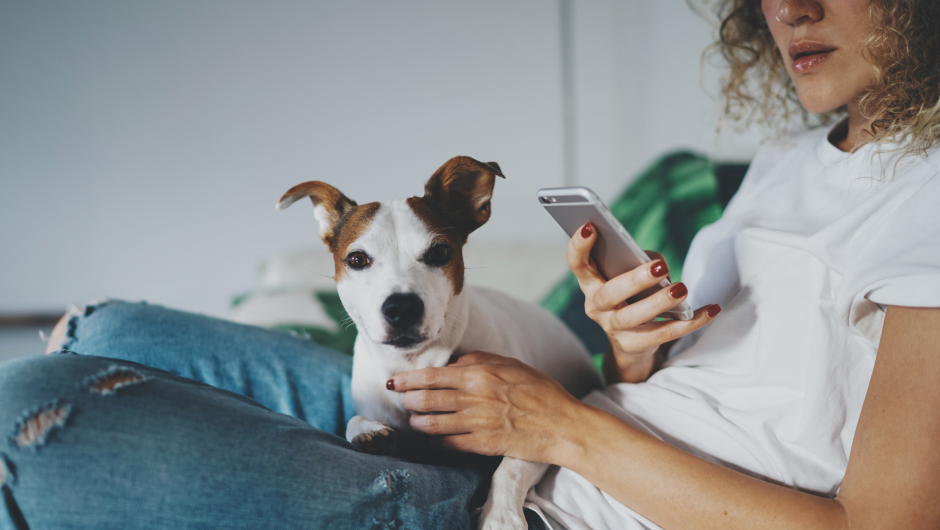 Risky Business! Online Pet Meds, Pharmacies & Over-the-Counter Pet Medicine Sales