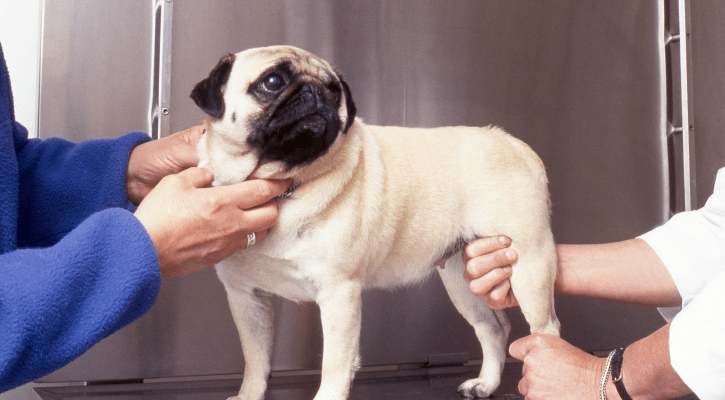 Specialty Procedures 